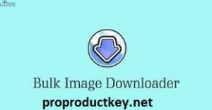 Bulk Image Downloader 6.13.0.0 Crack